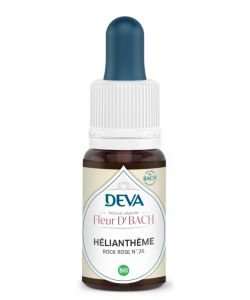 Hélianthème (Rock Rose - N°26)